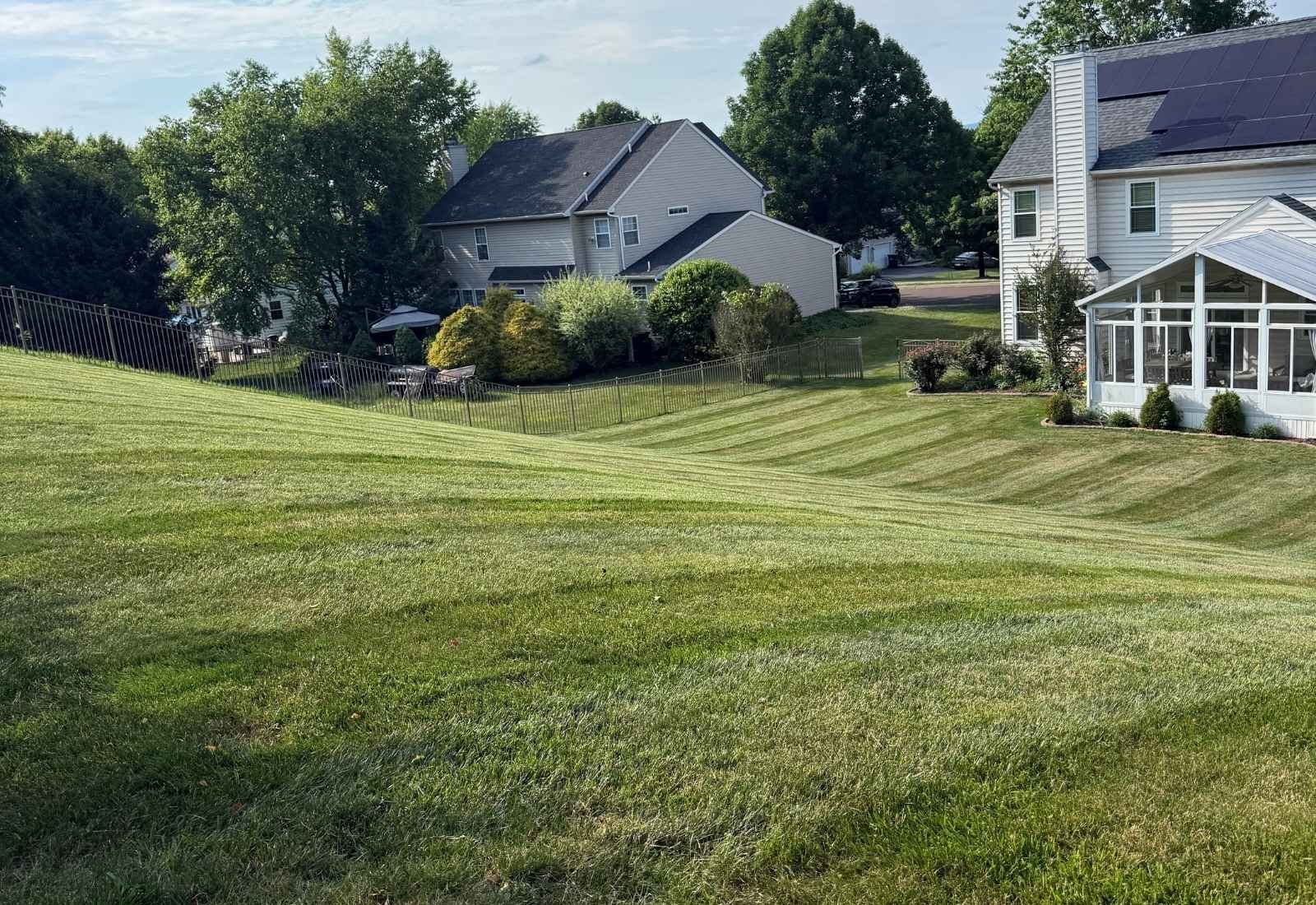 Dedicated lawn care experts