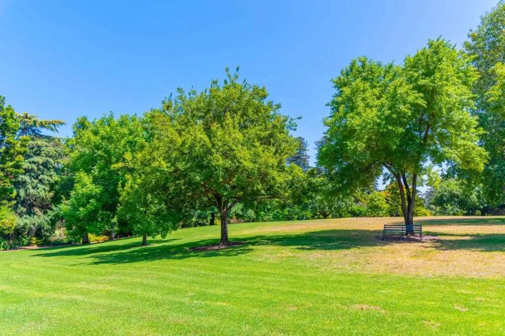 Lawn Care Service Includes
