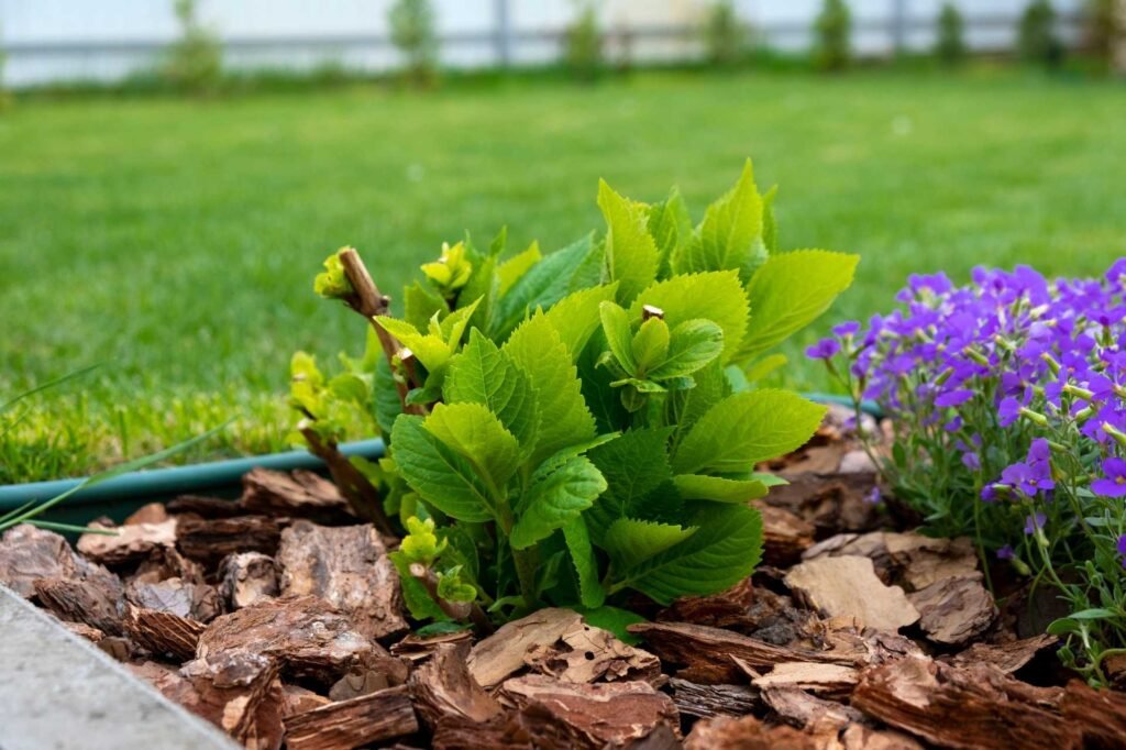 lawn mulching done by professionals