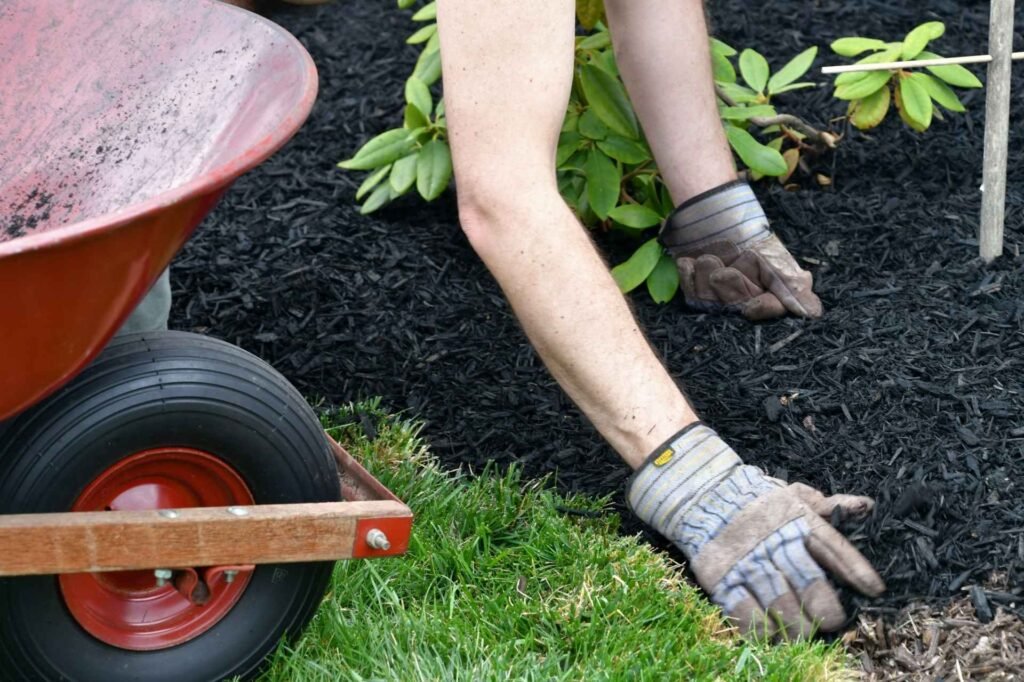 mulching services by Asher's Lawn Care