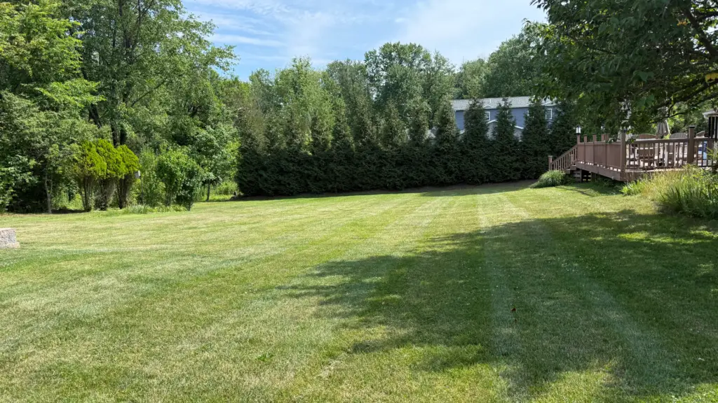 Lawn Mowing
