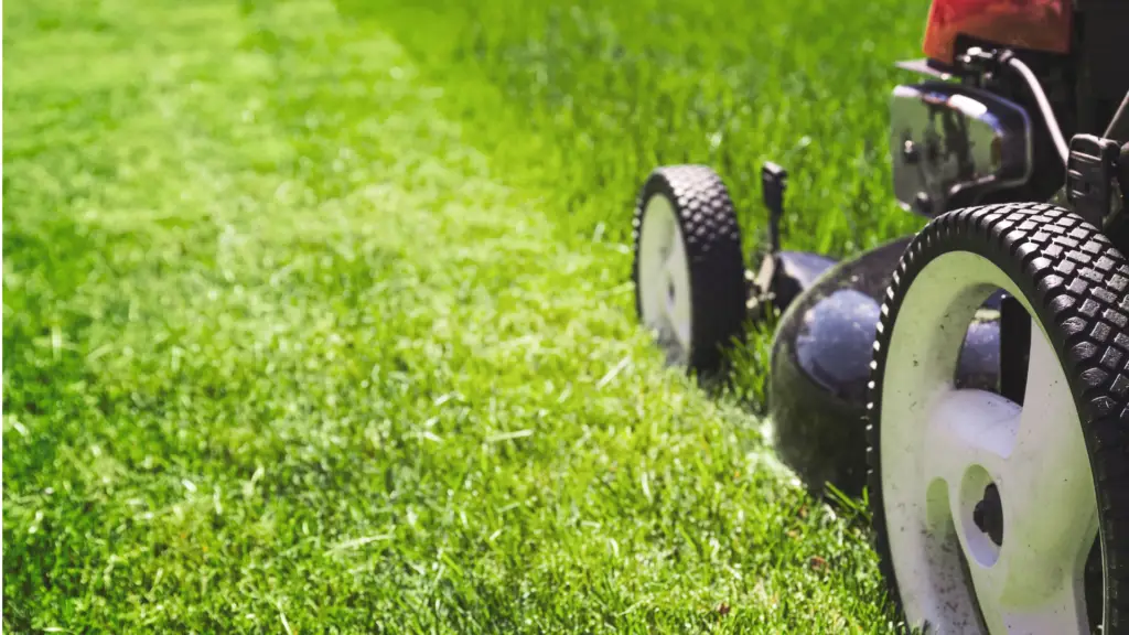 Lawn mowing