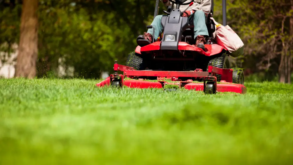 Lawn mowing experts