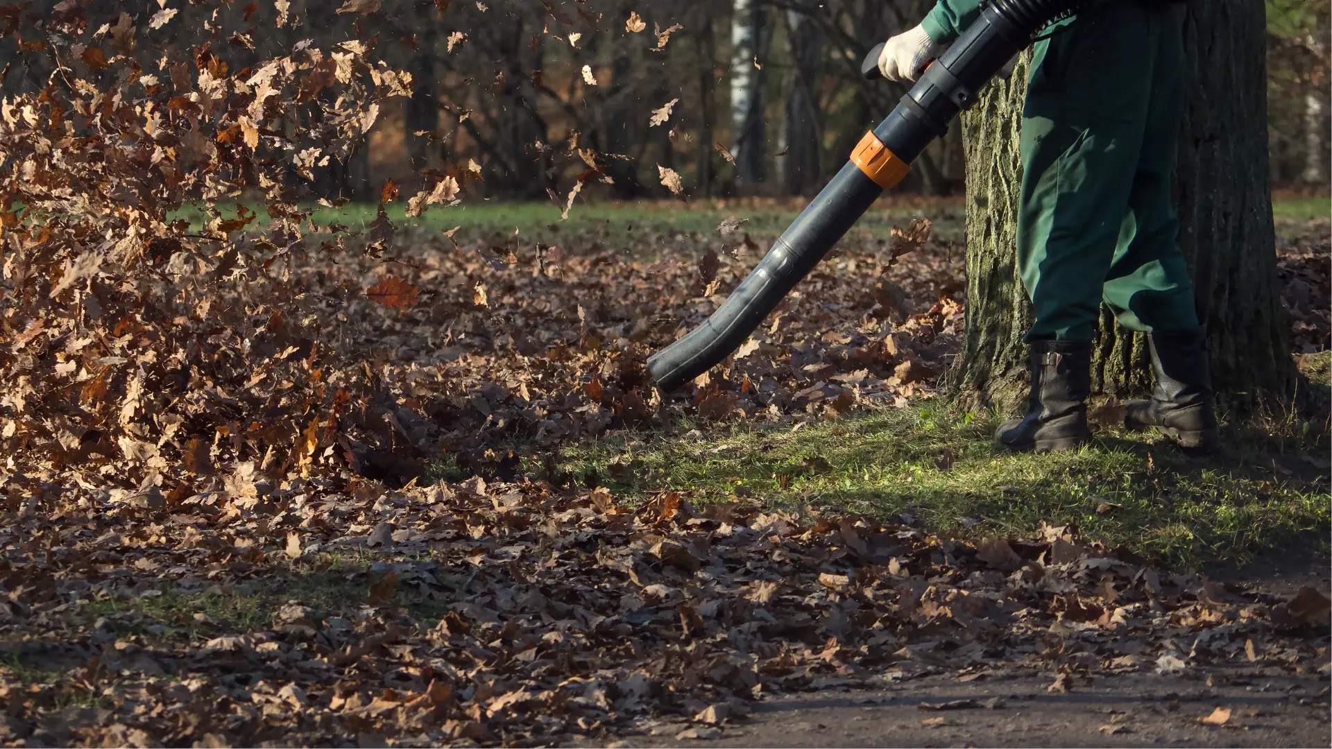 Leaf removal