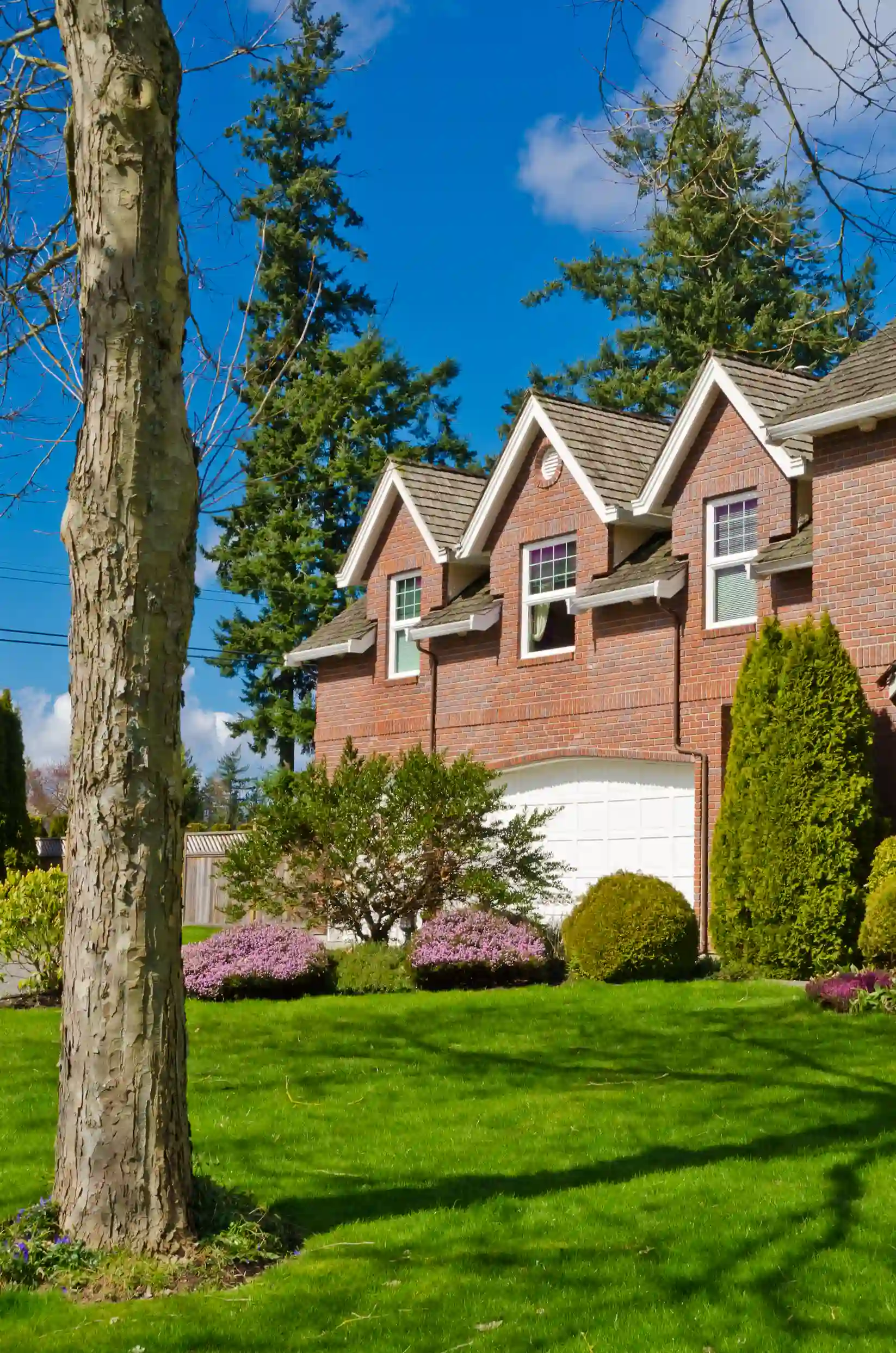 Boyertown Lawn Care