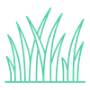grass look