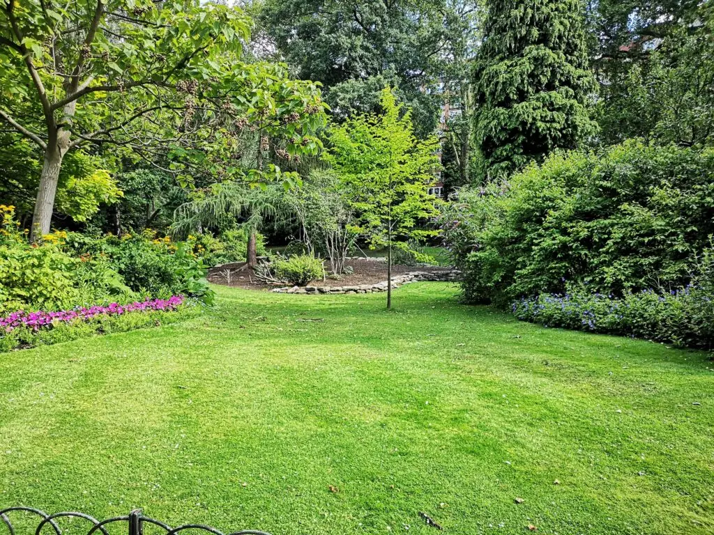 Garden after professional Brush Clearing