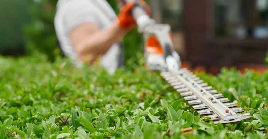 Lawn care experts in Pottsgrove